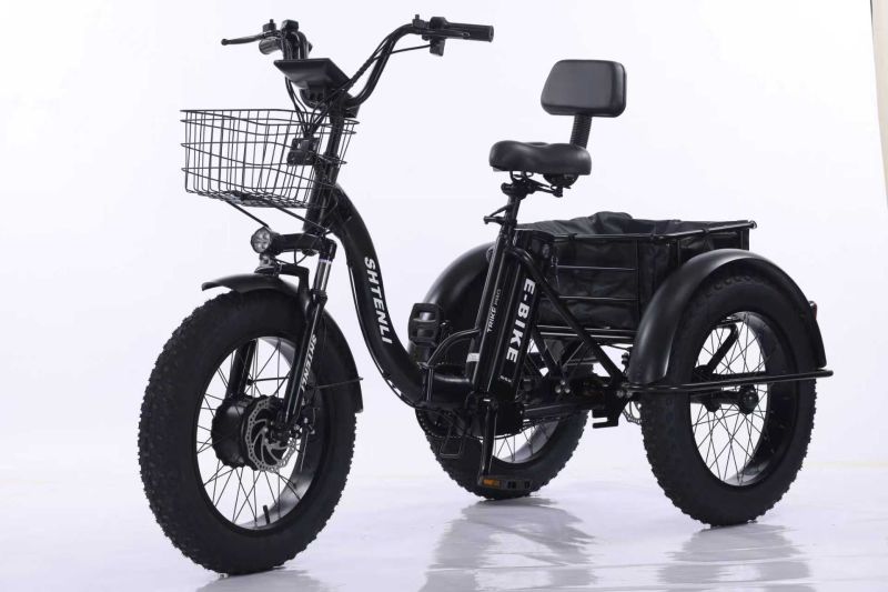 Купить Электровелосипед Shtenli Model Trike PRO li-on 48V10.4A в Столине и районе